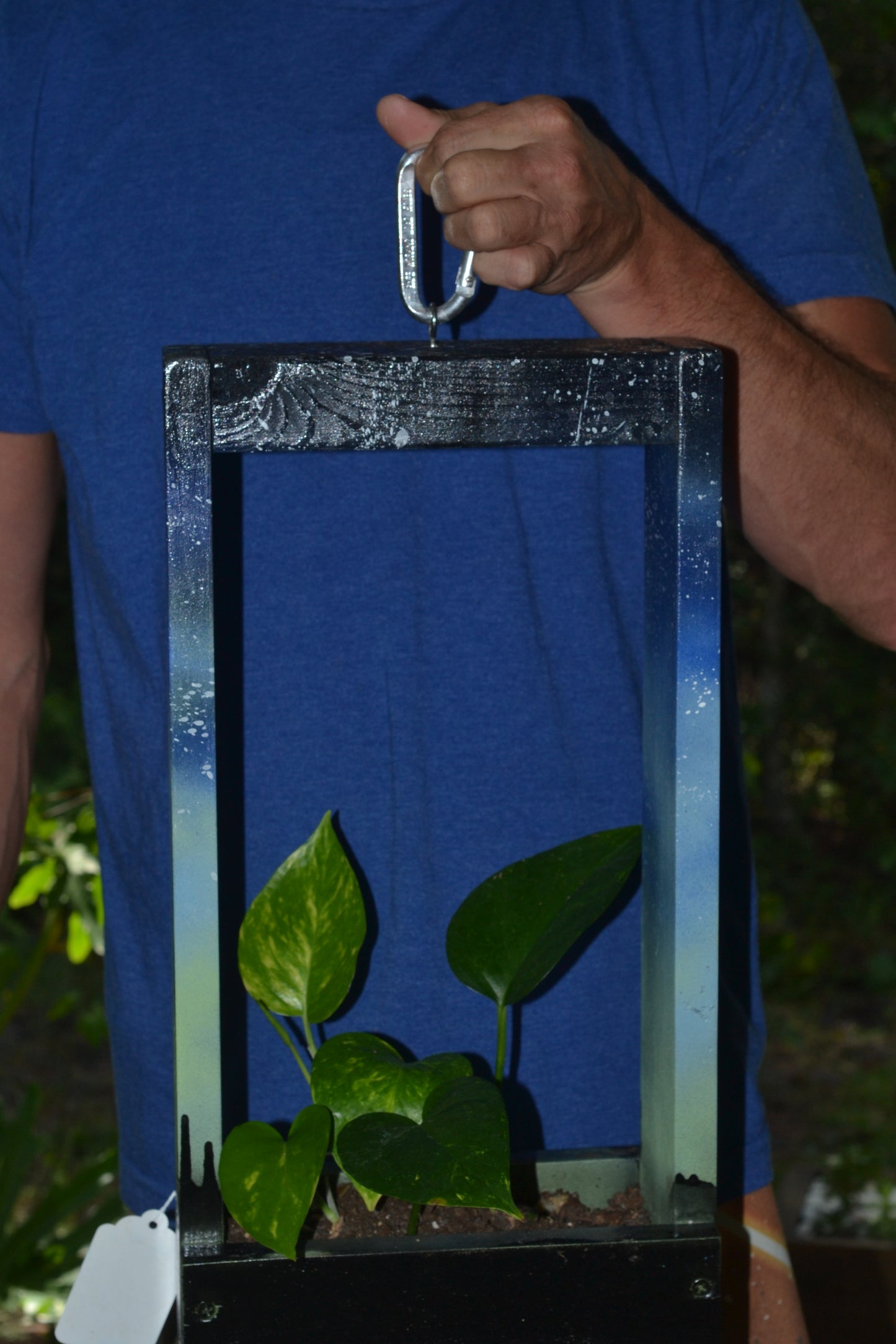 Handmade hanging wooden planter. Golden pothos