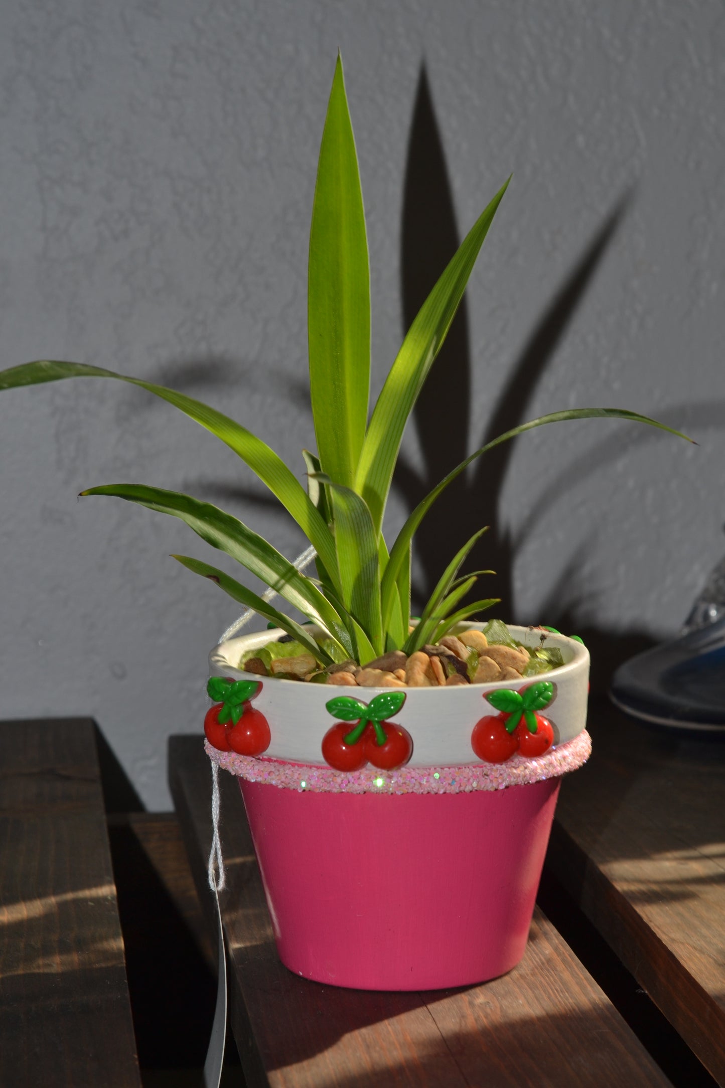 Handmade 4” cherry planter. Spider plant “green”