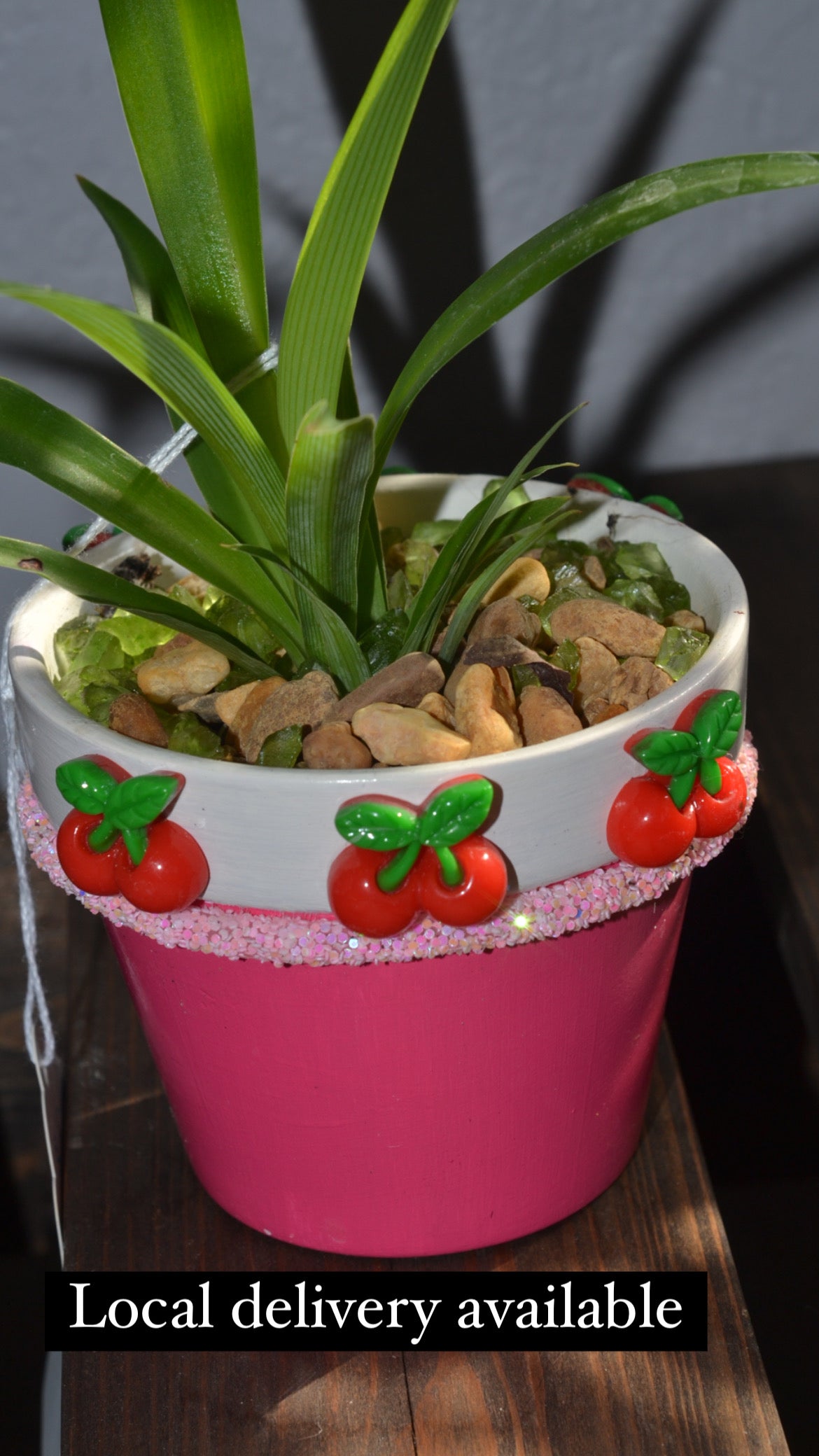 Handmade 4” cherry planter. Spider plant “green”