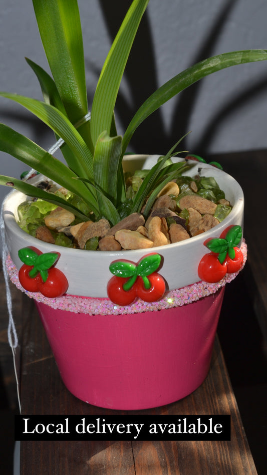 Handmade 4” cherry planter. Spider plant “green”