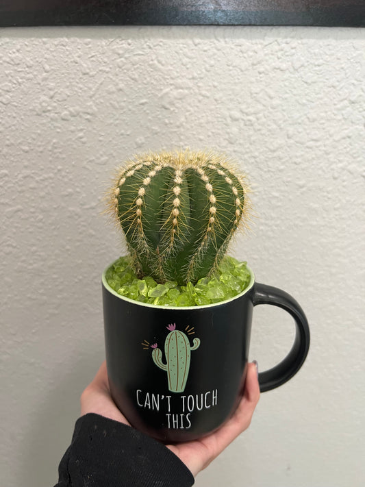 Balloon cactus in ceramic mug