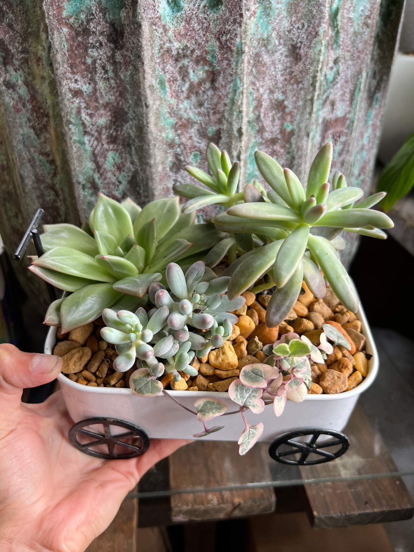 Wagon succulent planter