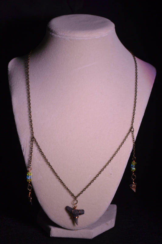 Sharks tooth necklace