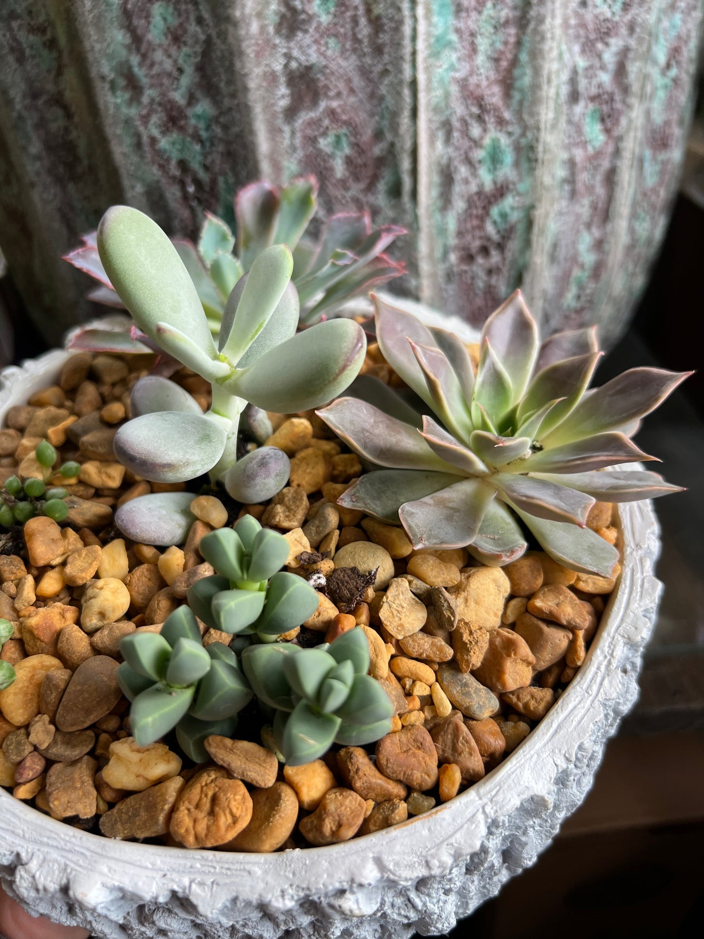 Succulent stump planter