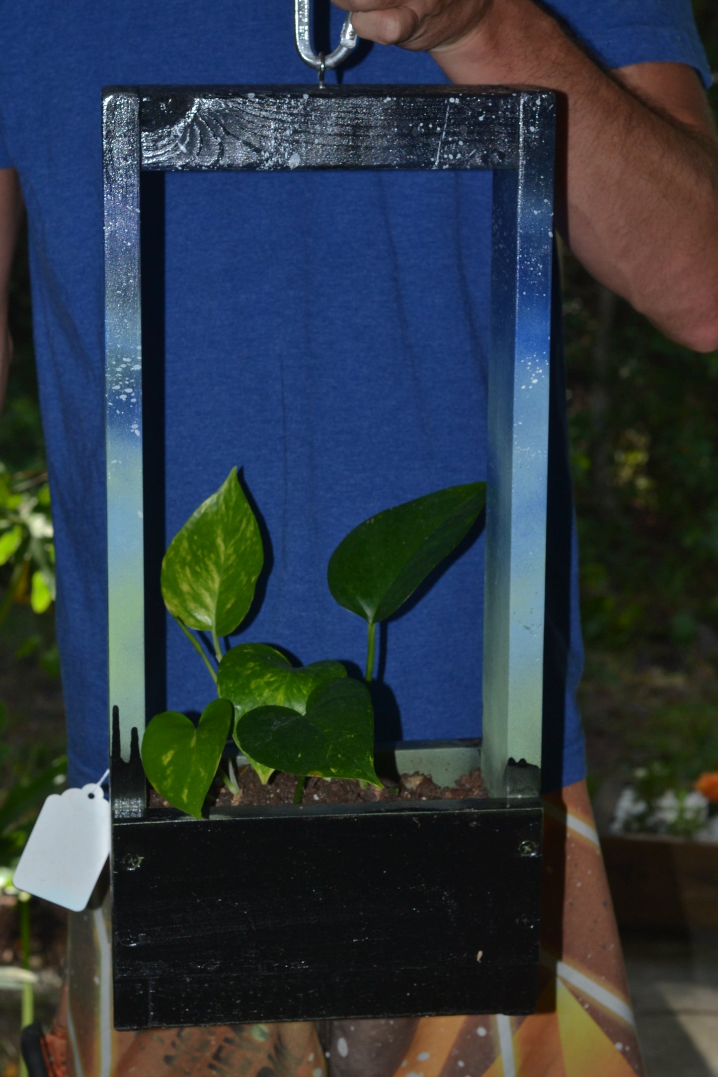 Handmade hanging wooden planter. Golden pothos