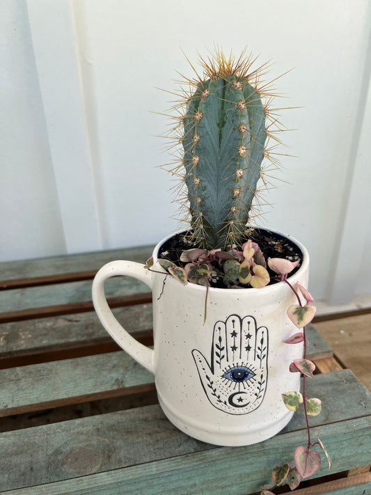 Evil eye succulent mug