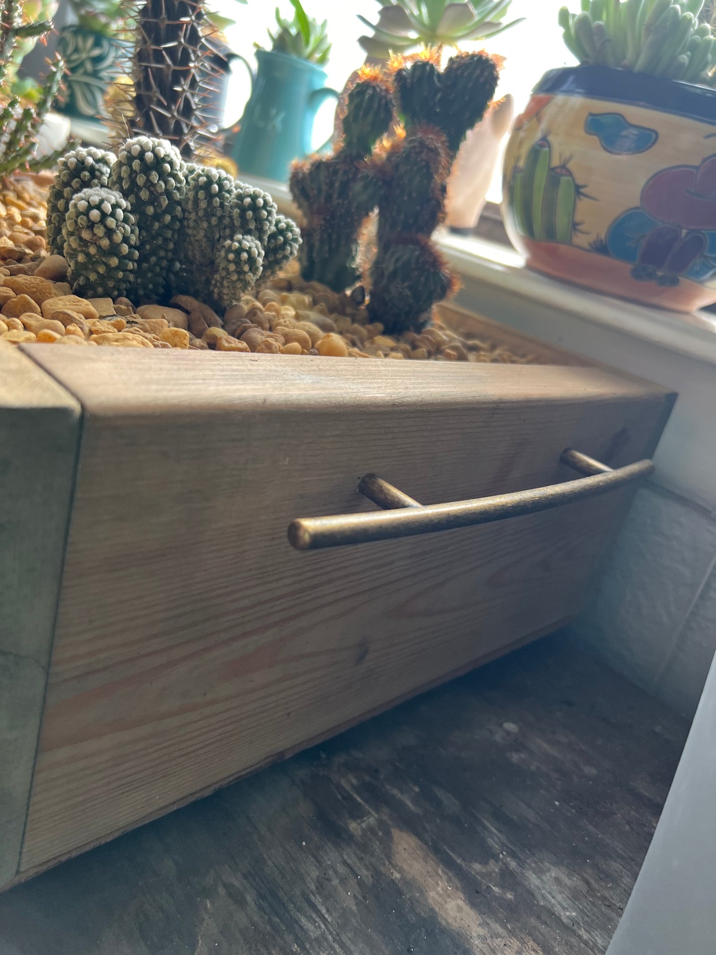 Cacti arrangement in handmade wooden planter box