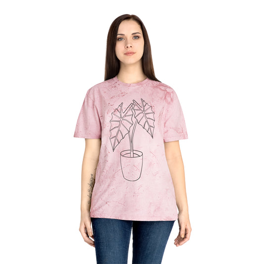 Alocasia Unisex Color Blast T-Shirt