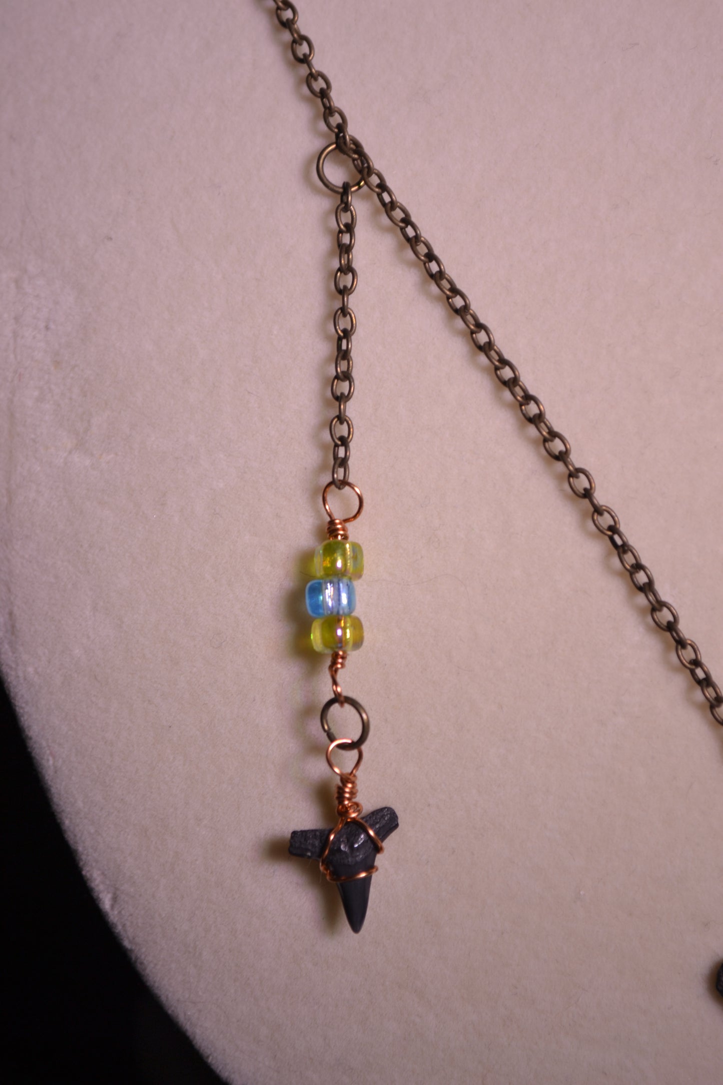 Sharks tooth necklace