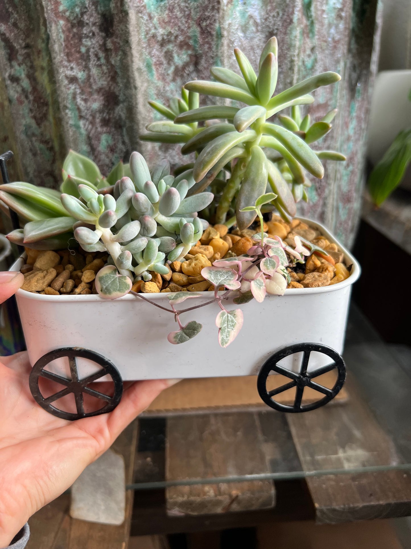 Wagon succulent planter