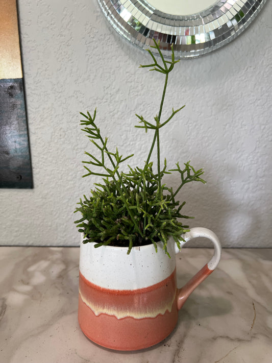 Planted Orange and White Mug