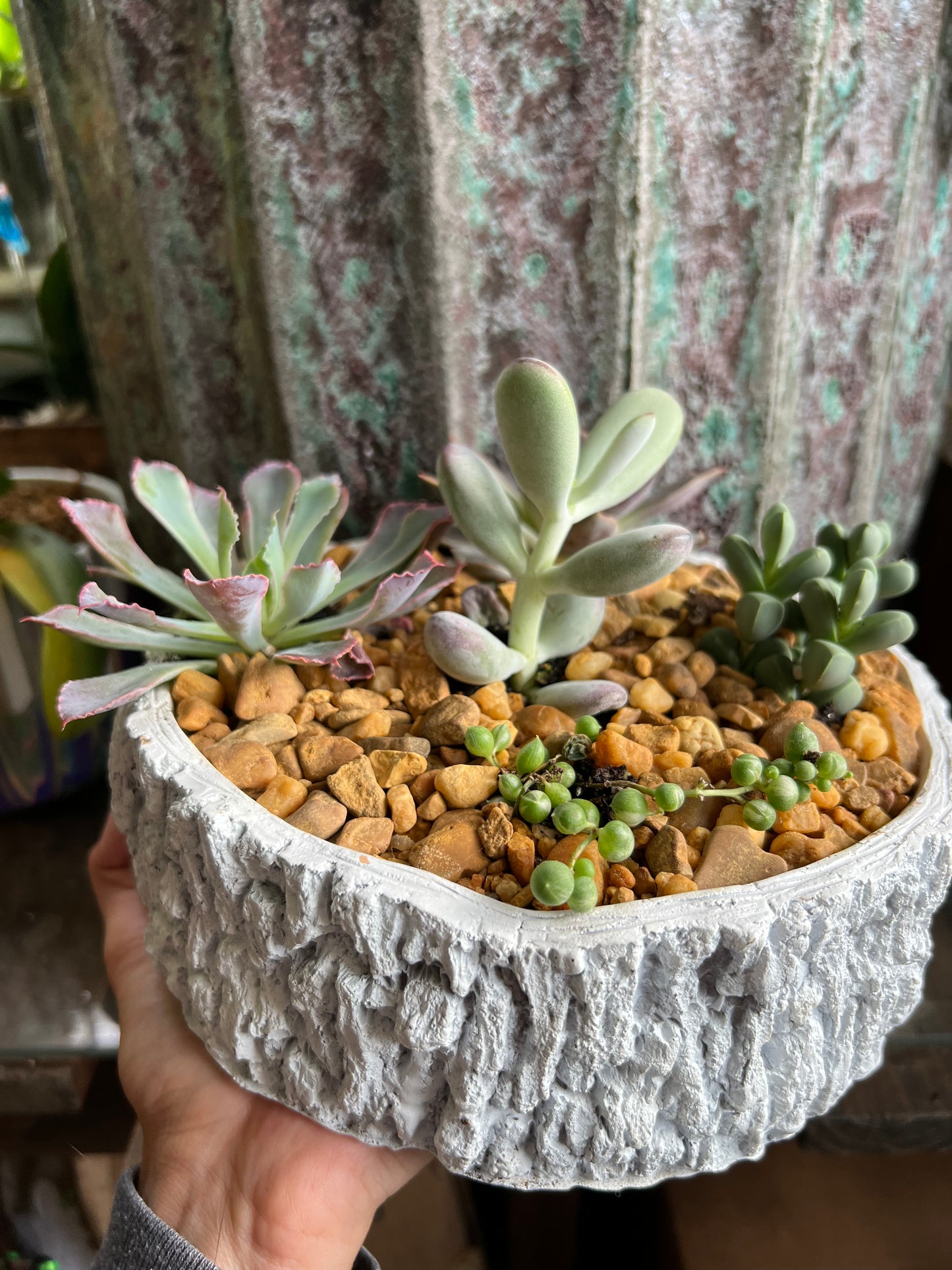 Succulent stump planter