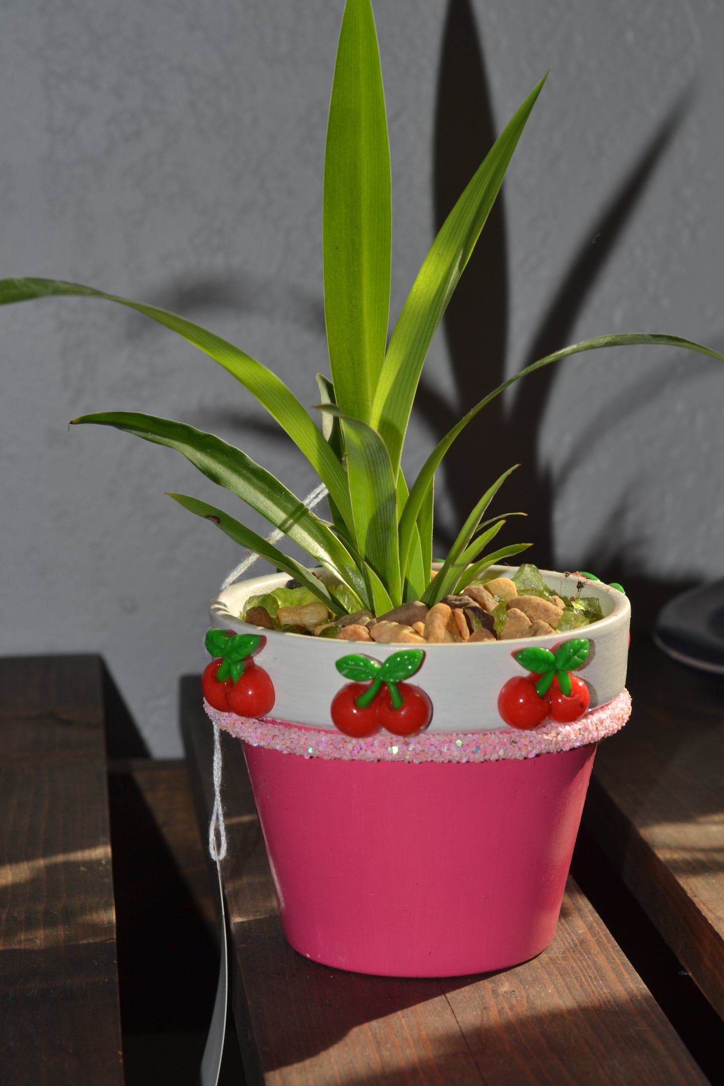 Handmade 4” cherry planter. Spider plant “green”