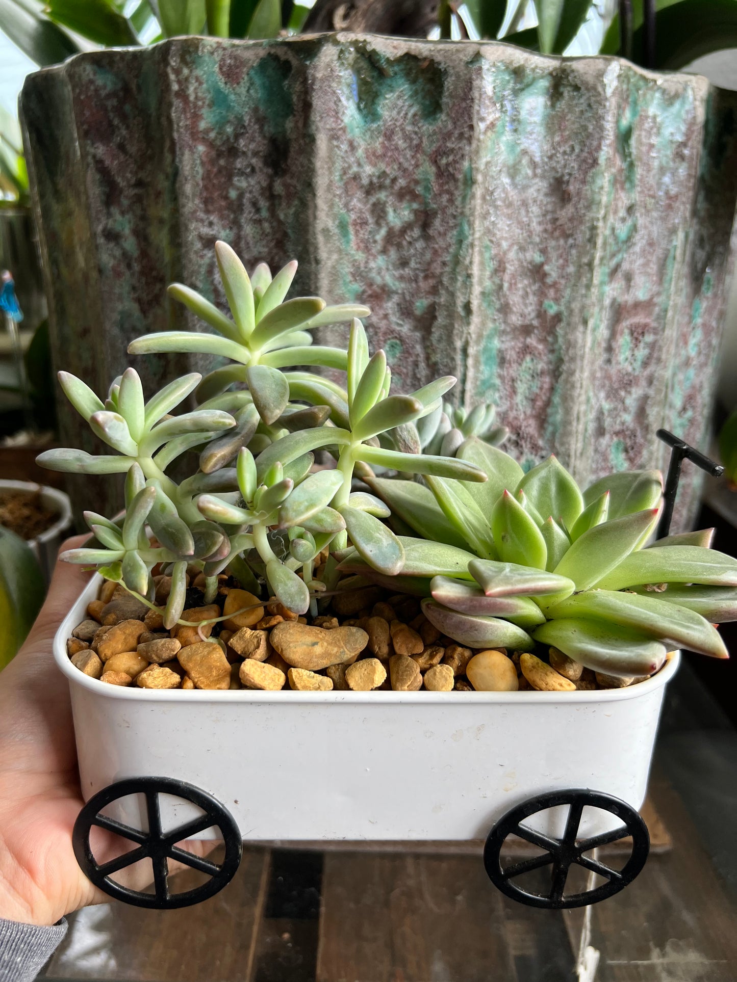 Wagon succulent planter