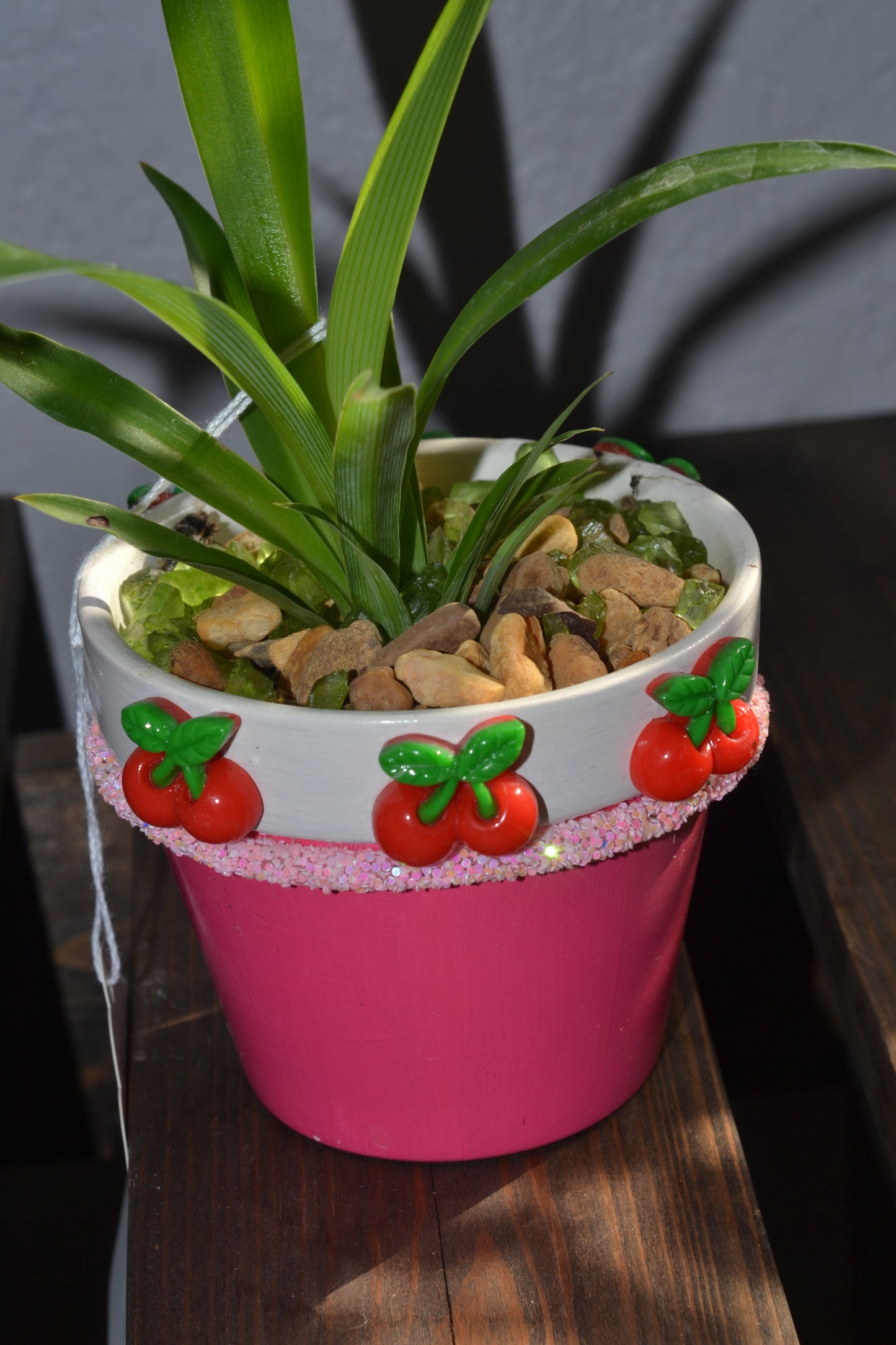 Handmade 4” cherry planter. Spider plant “green”