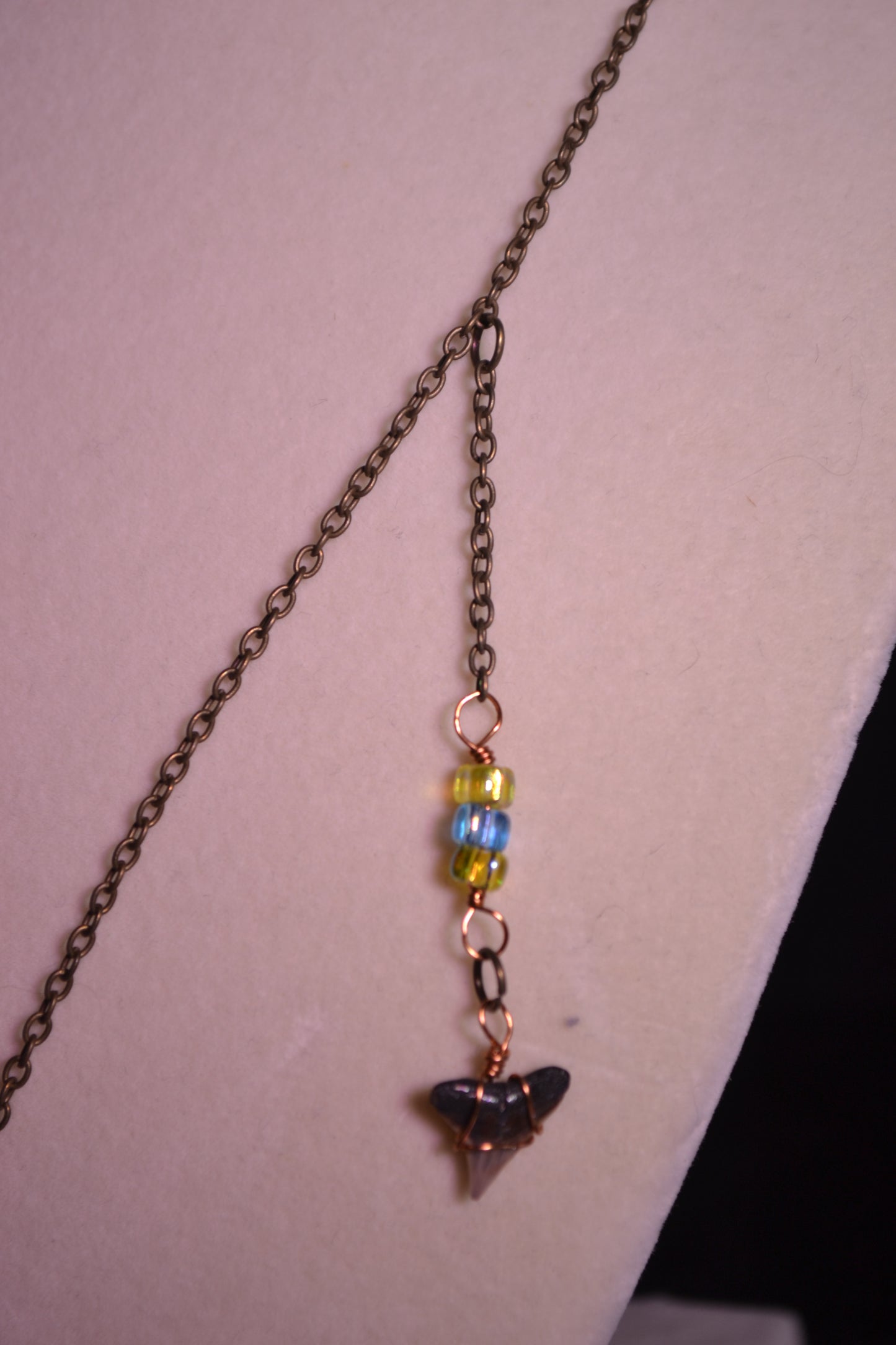 Sharks tooth necklace