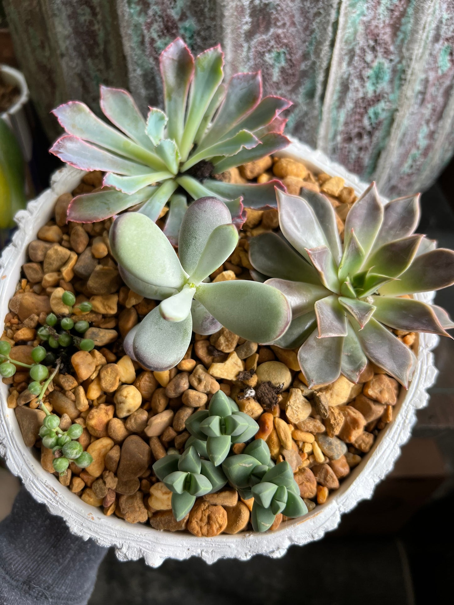 Succulent stump planter