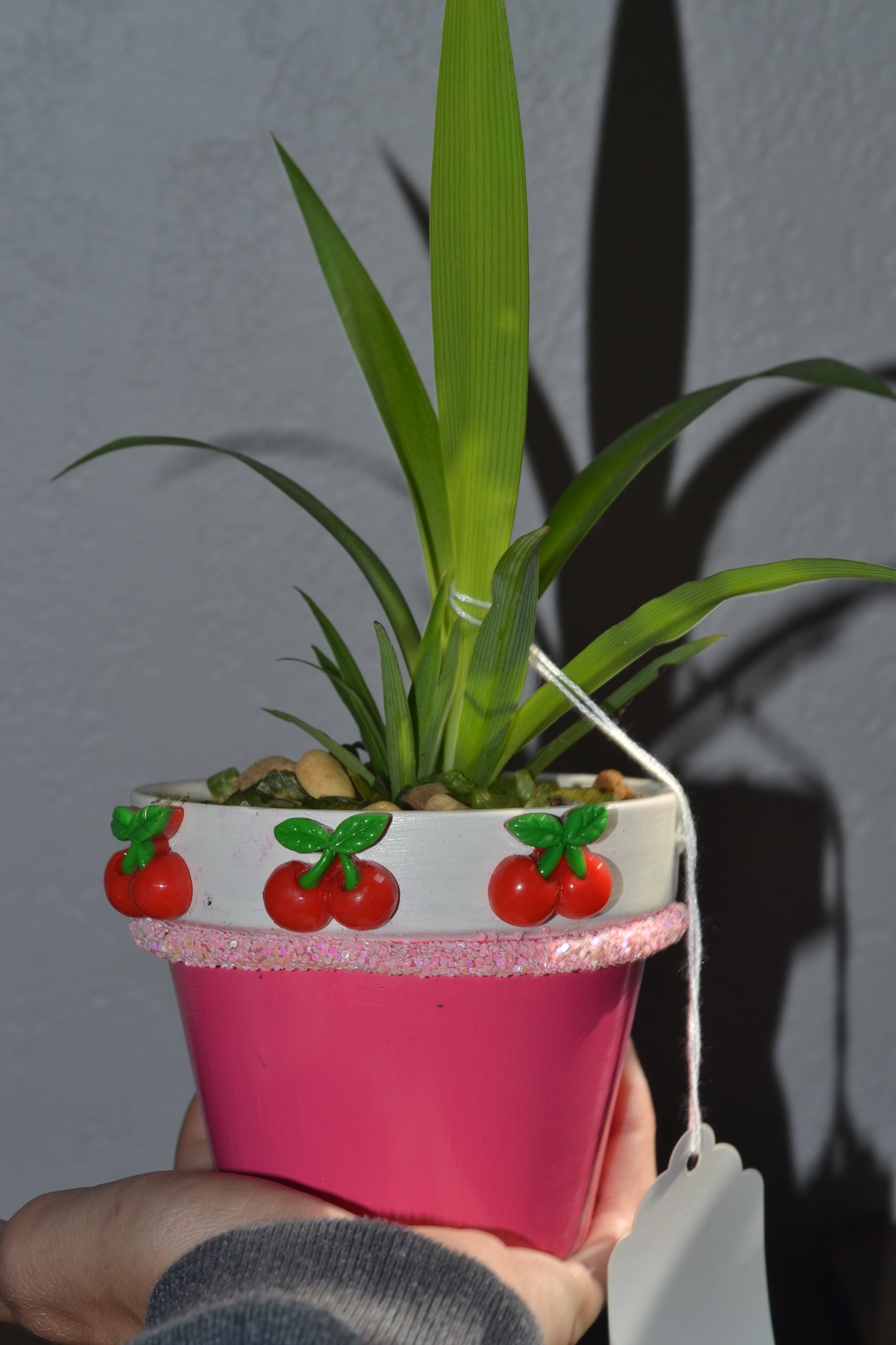 Handmade 4” cherry planter. Spider plant “green”