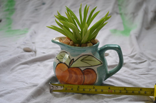 Mini Fruit Pitcher