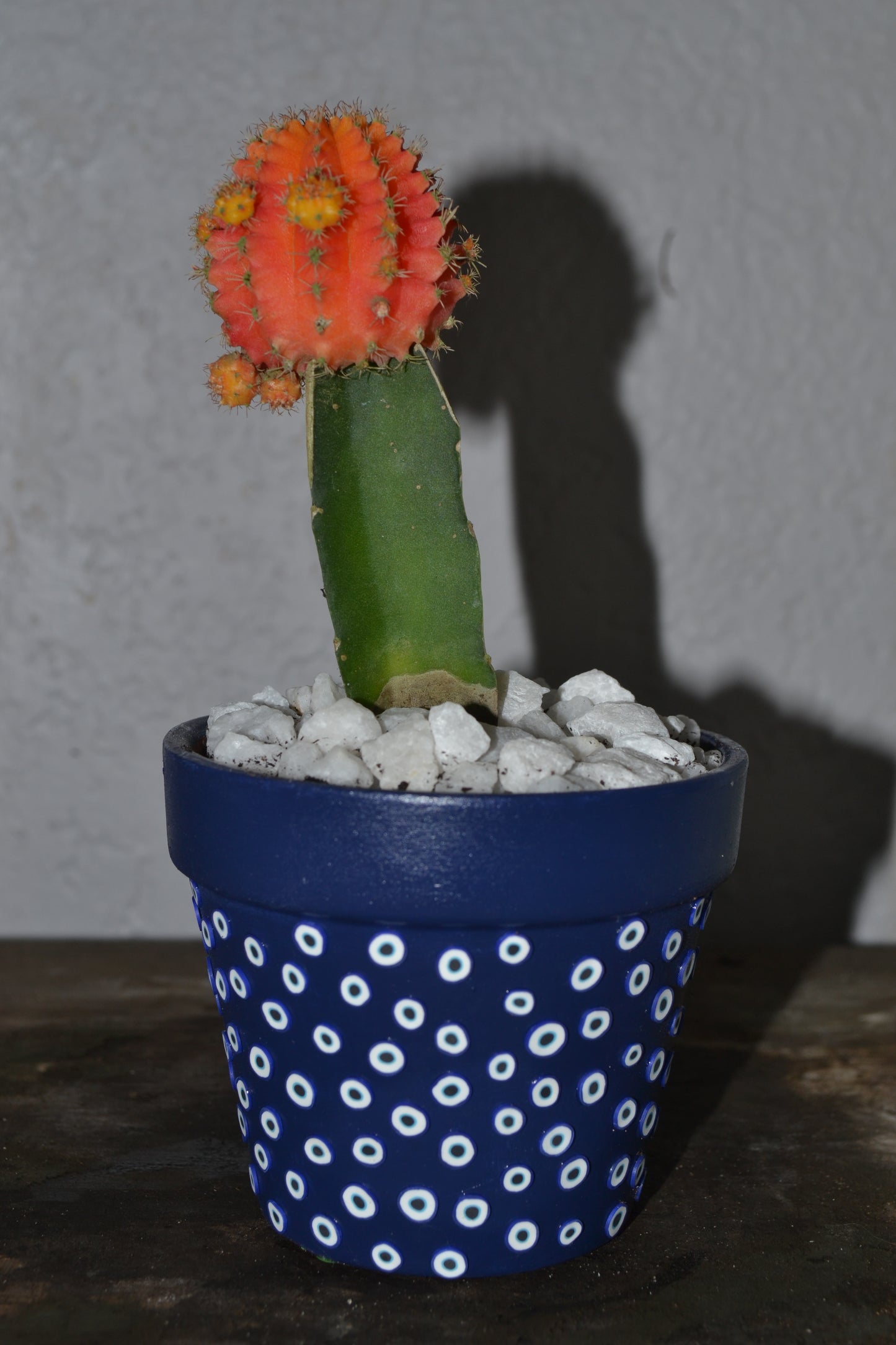 4in Hand Decorated Evil Eye Planter With Moon Cacti