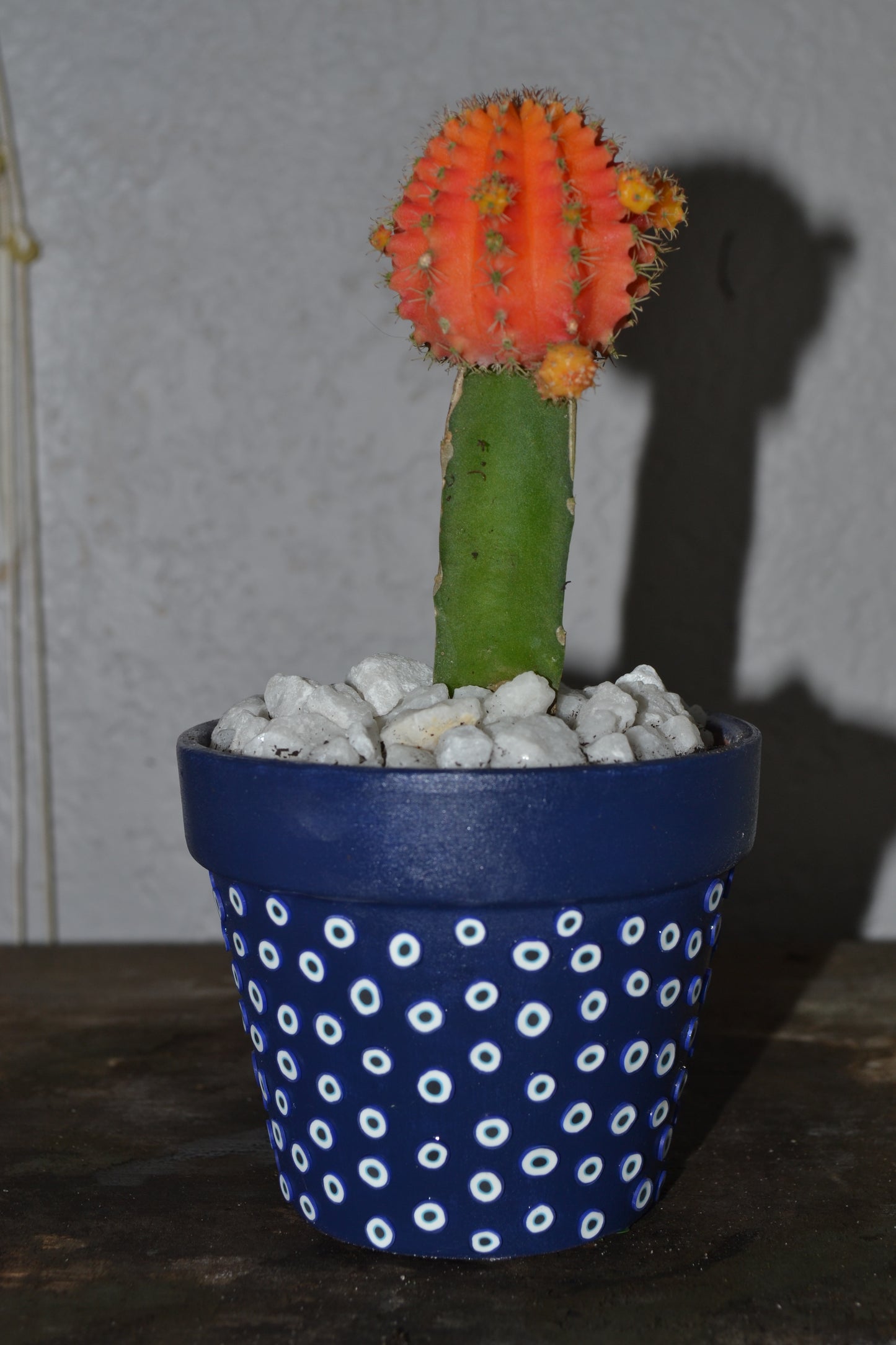 4in Hand Decorated Evil Eye Planter With Moon Cacti