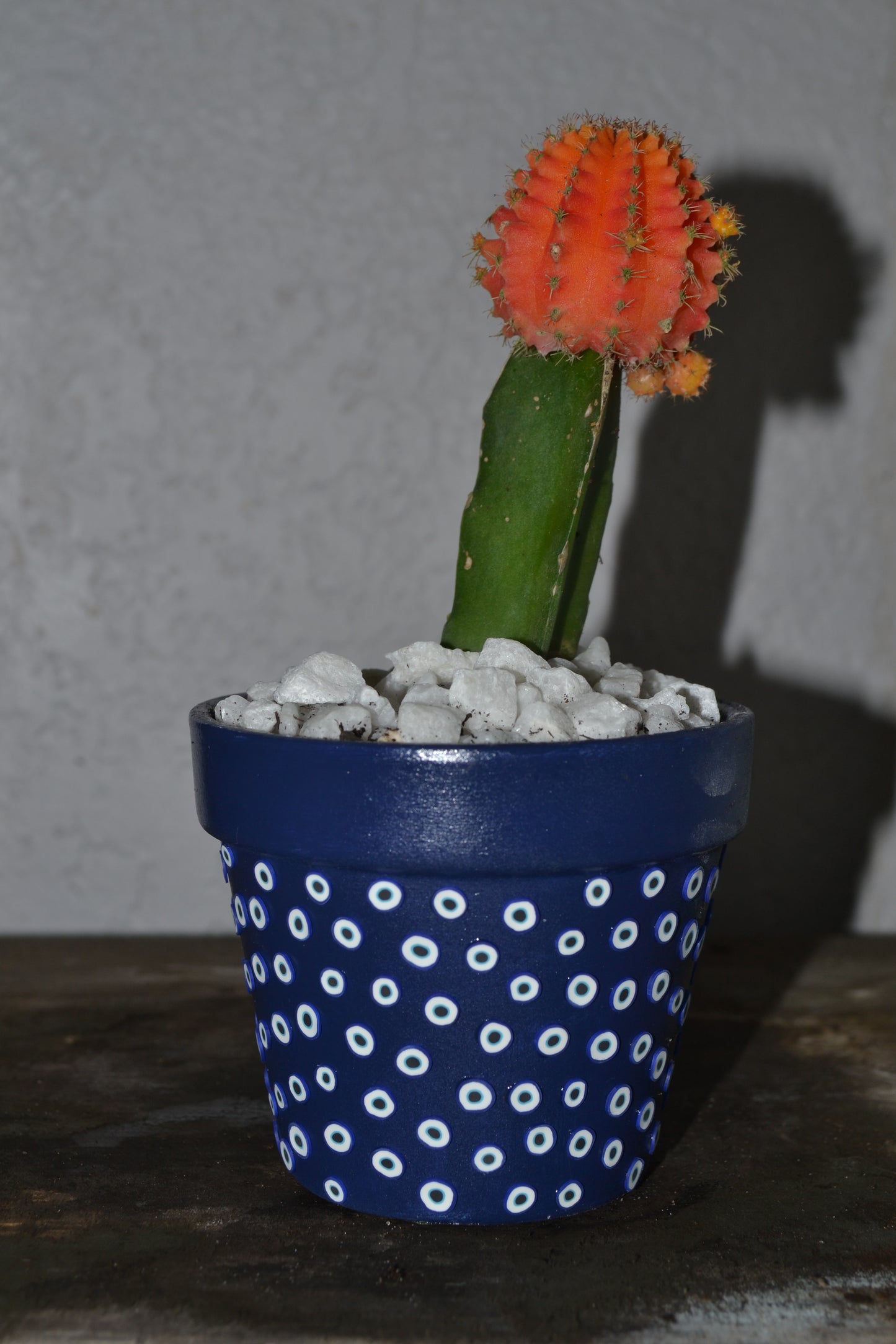 4in Hand Decorated Evil Eye Planter With Moon Cacti