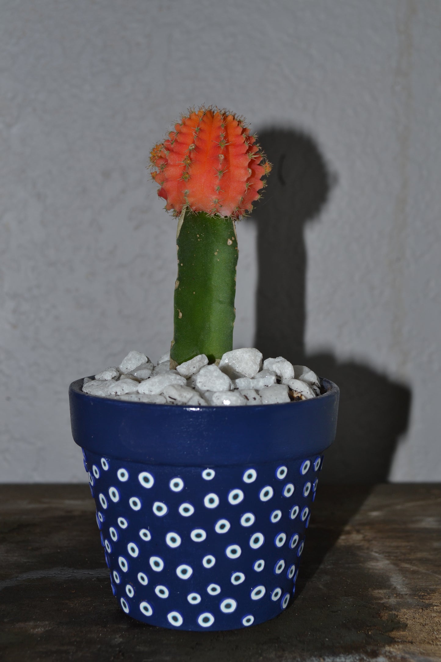 4in Hand Decorated Evil Eye Planter With Moon Cacti