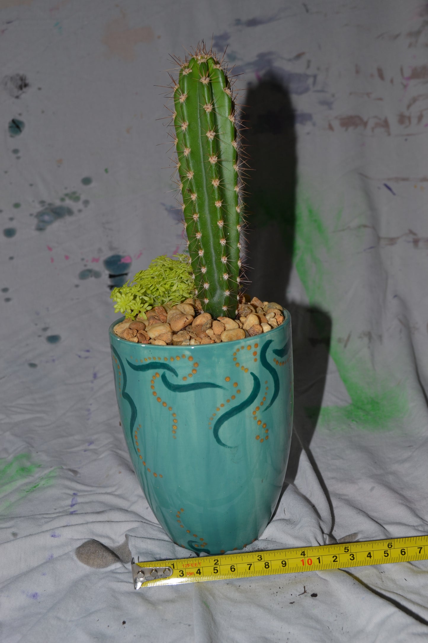 Blue Cacti & Succulent Planter