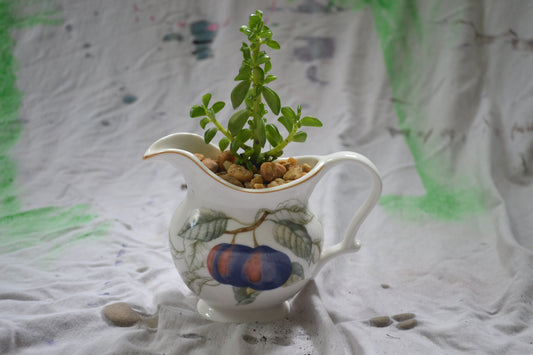 Planted Ceramic Cream Cup