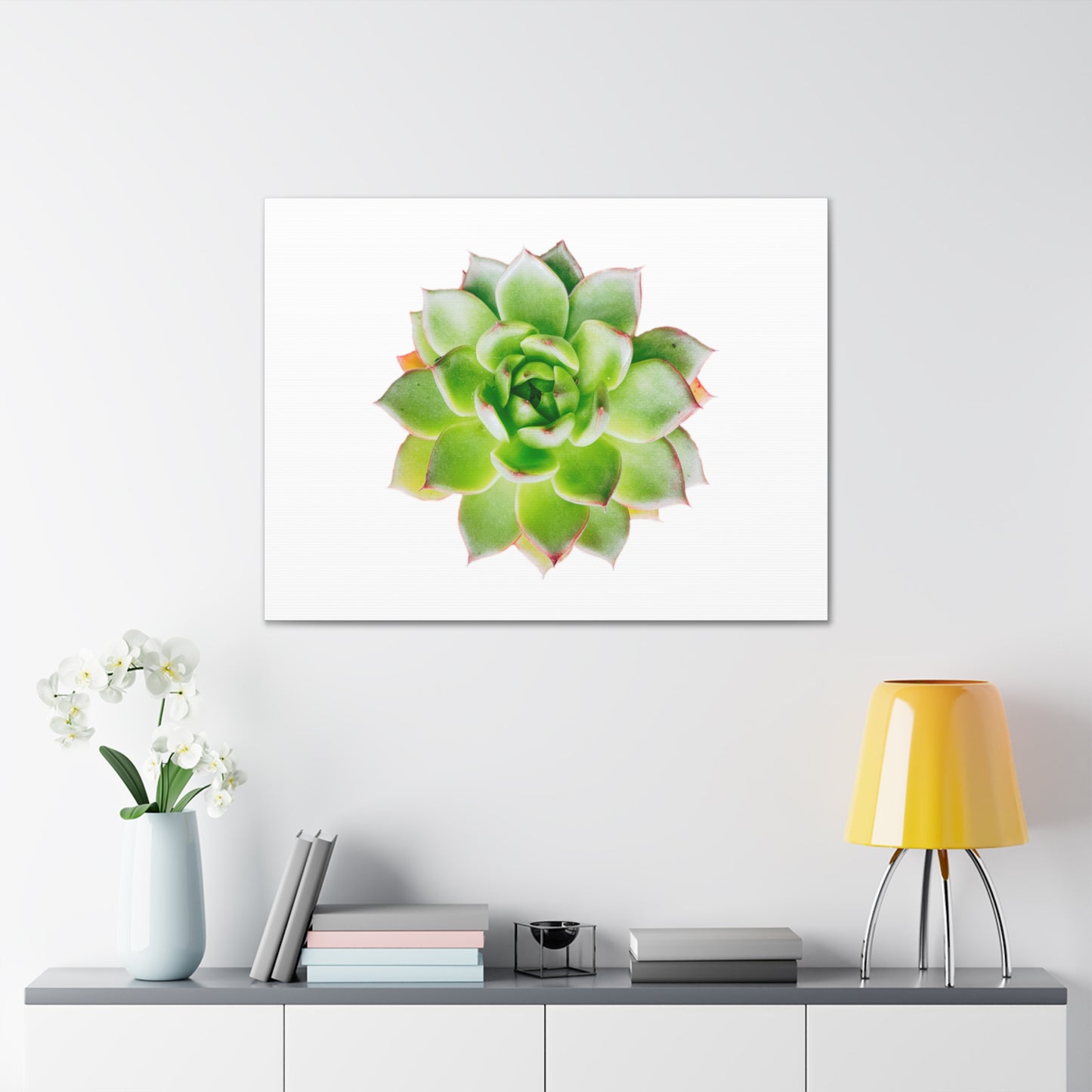 Echeveria Canvas Gallery Wraps