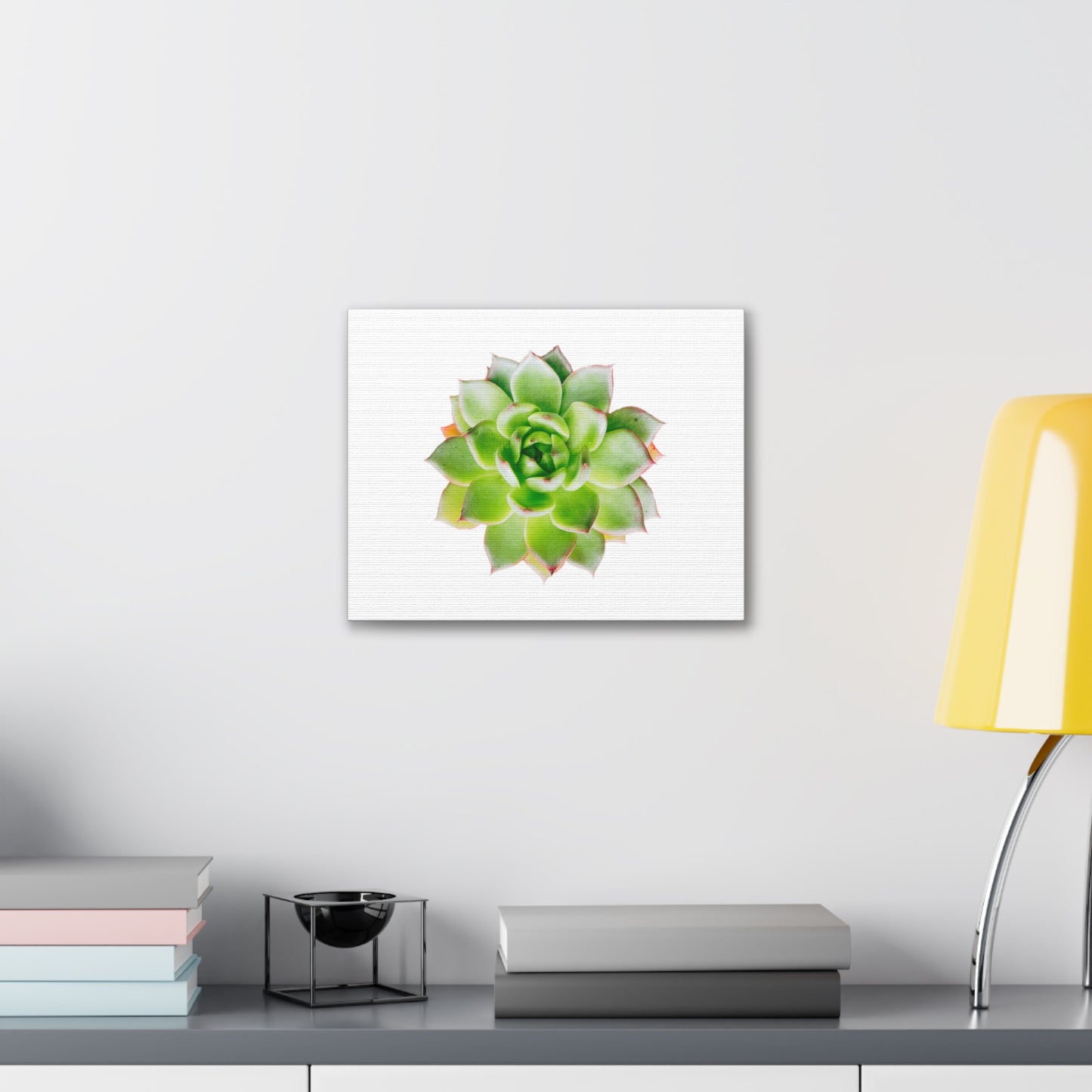 Echeveria Canvas Gallery Wraps