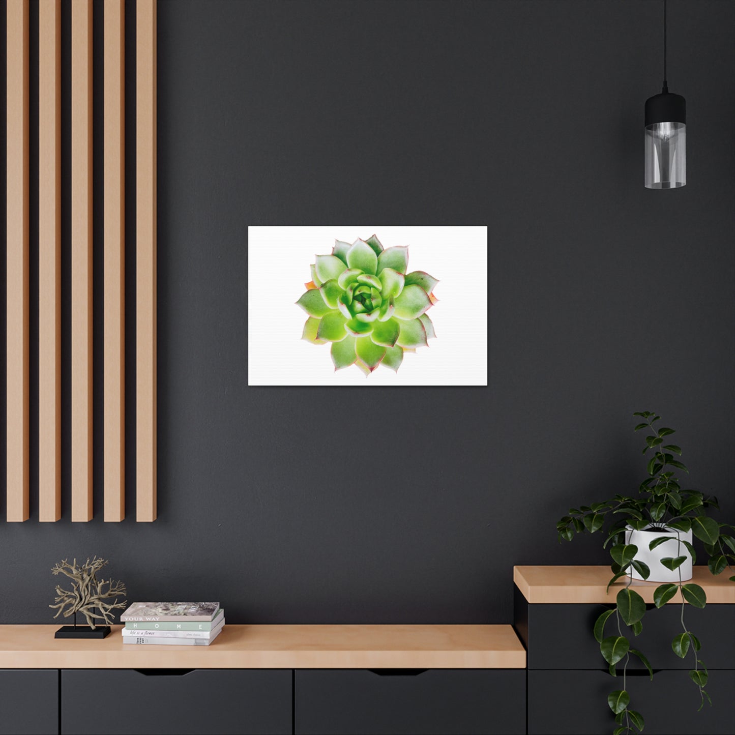 Echeveria Canvas Gallery Wraps