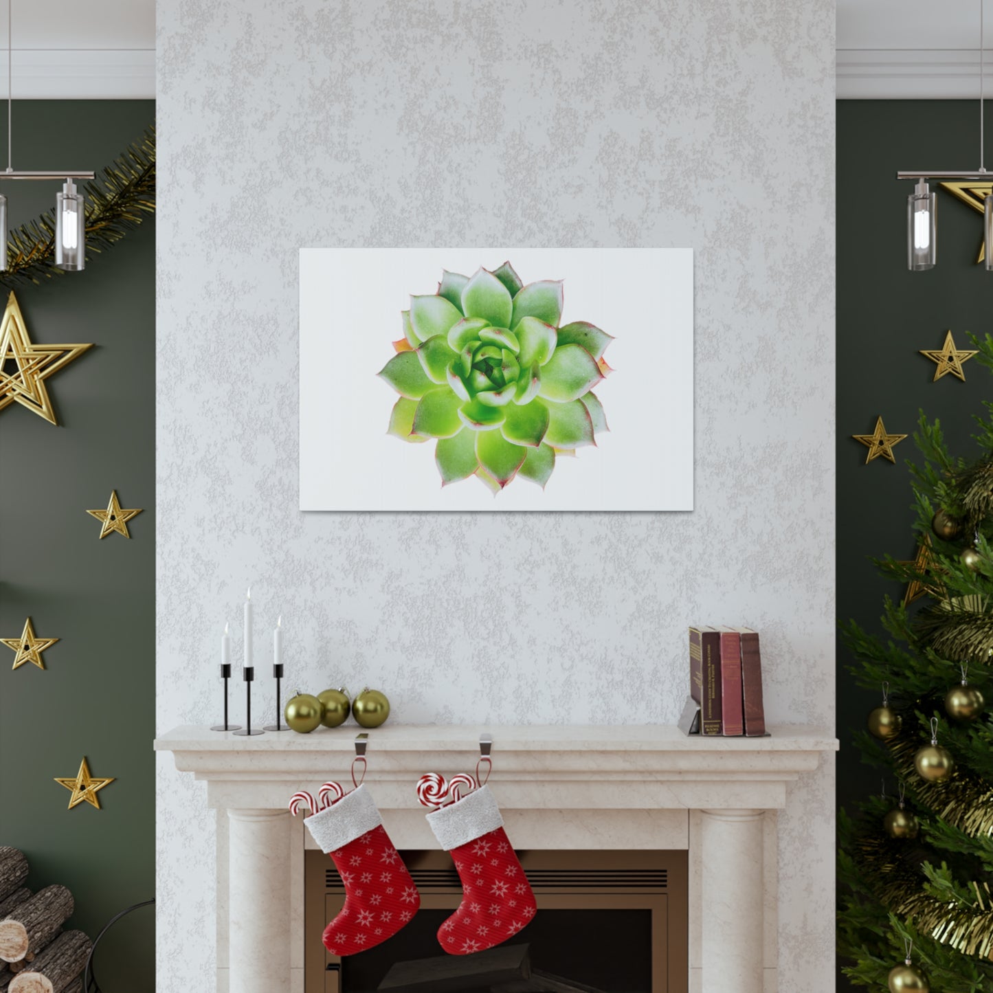 Echeveria Canvas Gallery Wraps