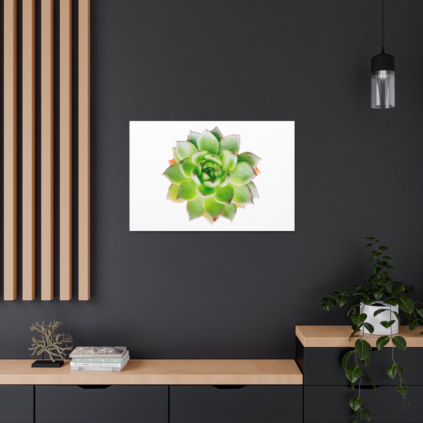 Echeveria Canvas Gallery Wraps