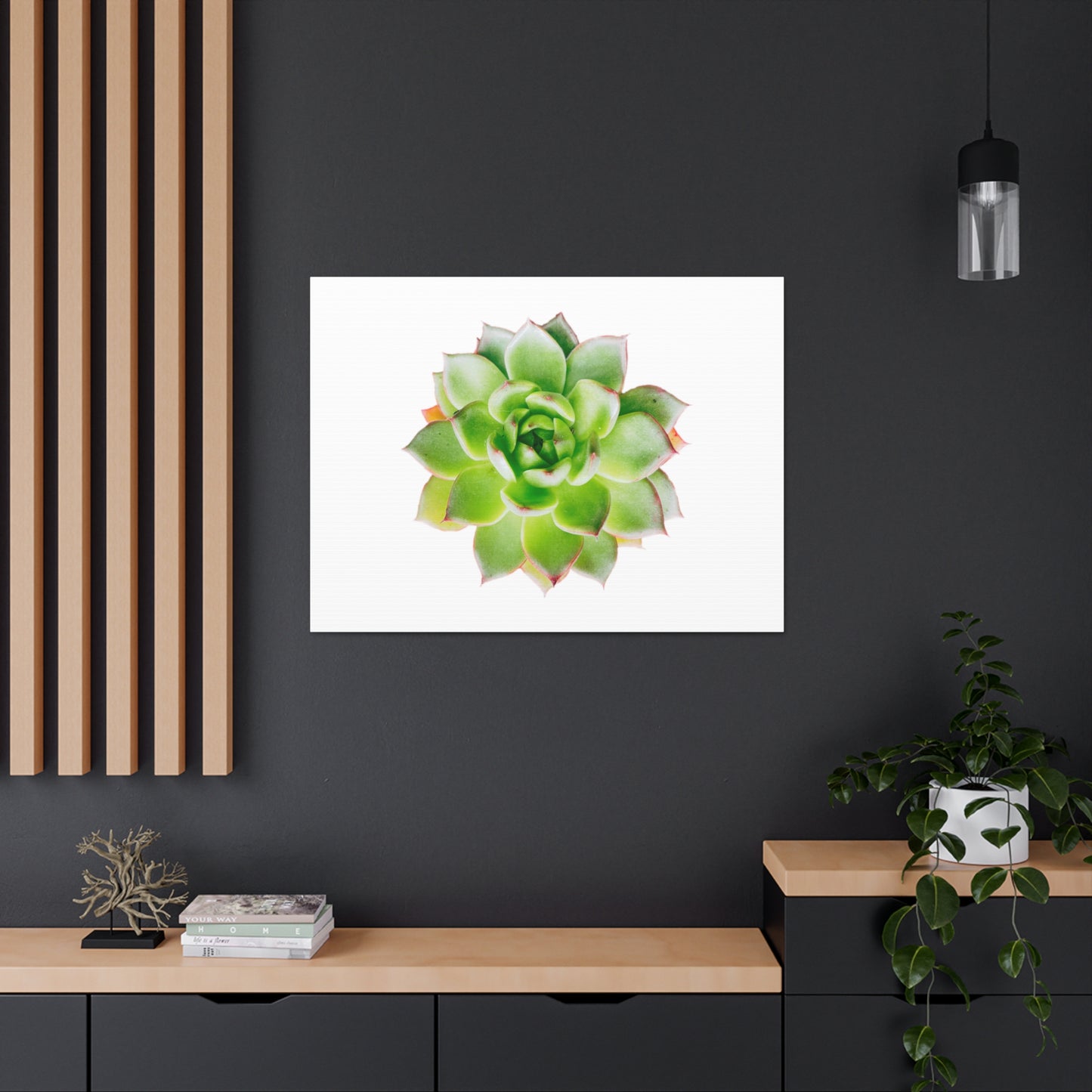 Echeveria Canvas Gallery Wraps