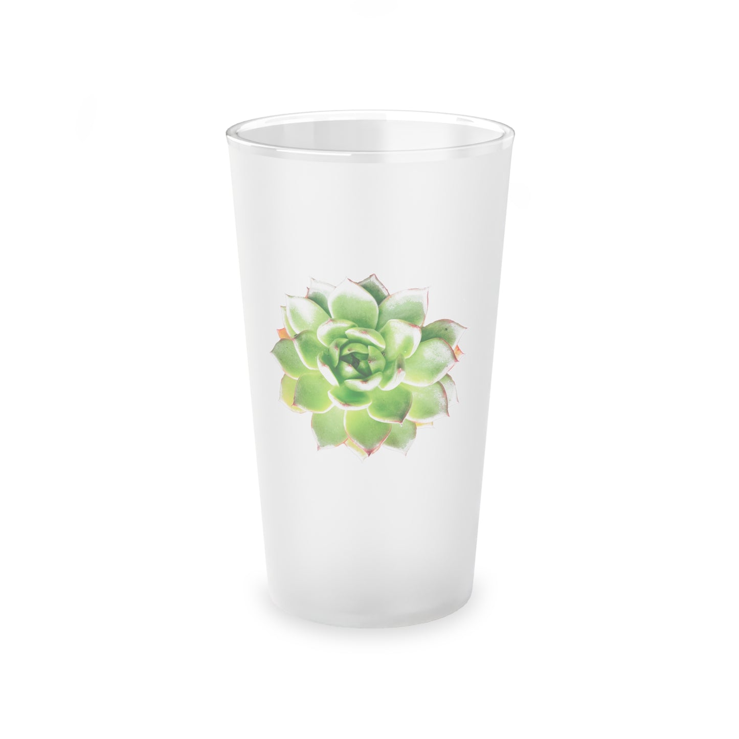 Echeveria Frosted Pint Glass