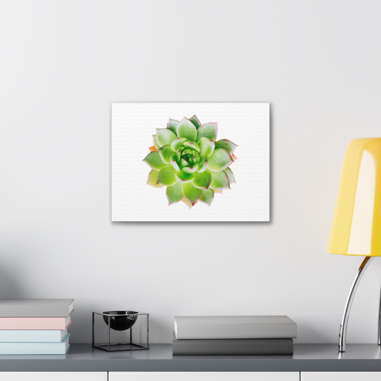 Echeveria Canvas Gallery Wraps