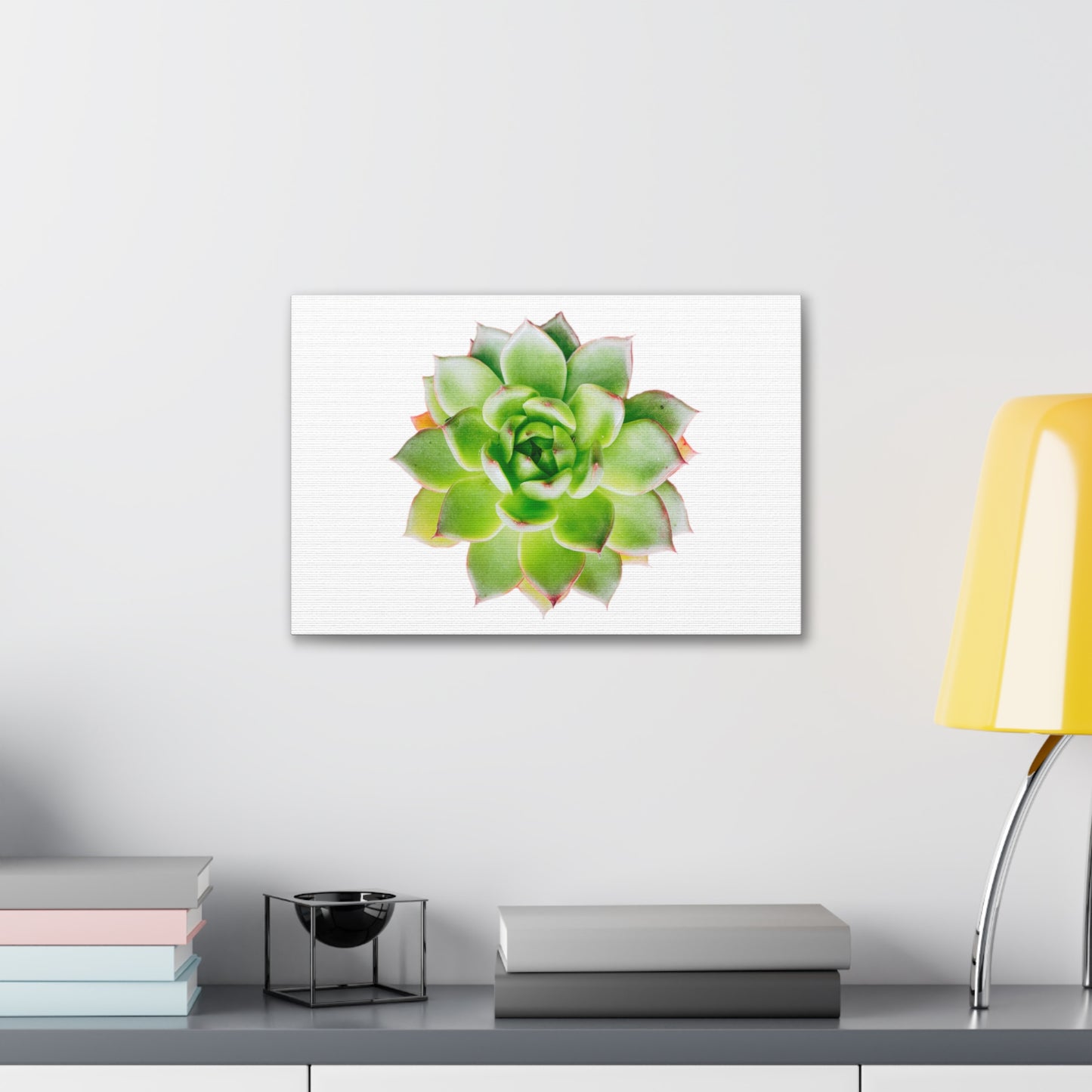 Echeveria Canvas Gallery Wraps