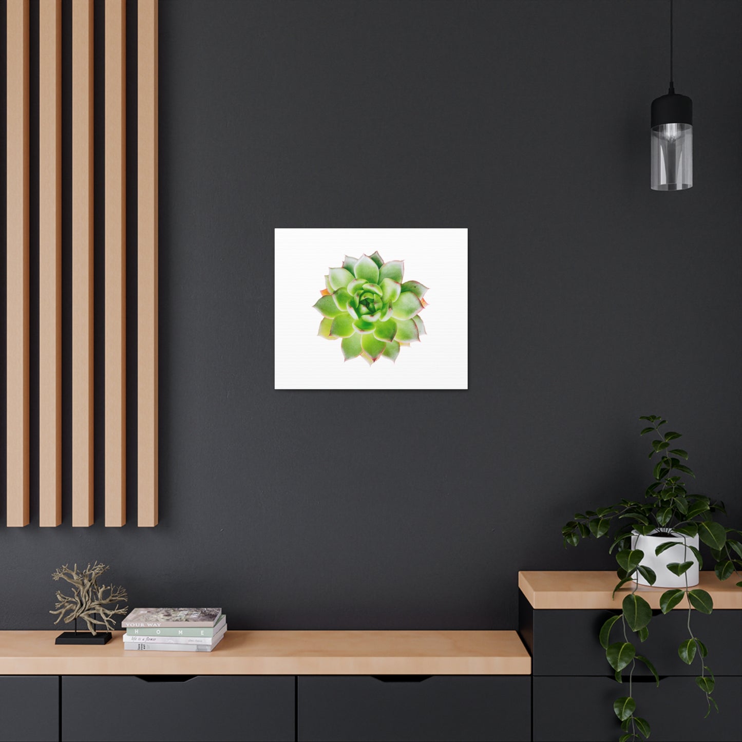 Echeveria Canvas Gallery Wraps