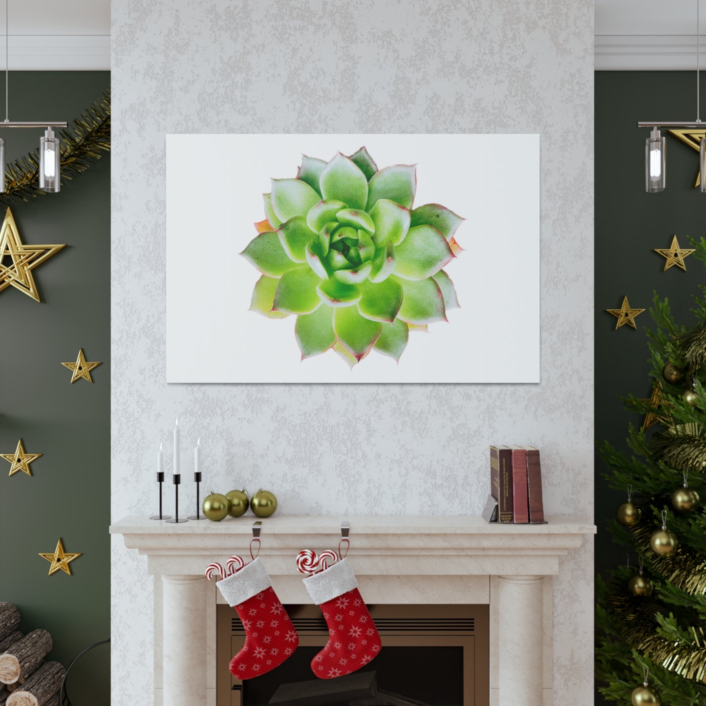 Echeveria Canvas Gallery Wraps