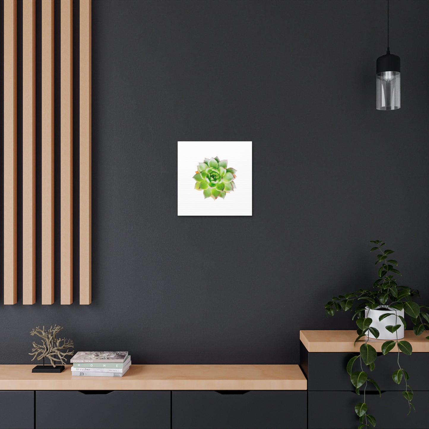 Echeveria Canvas Gallery Wraps