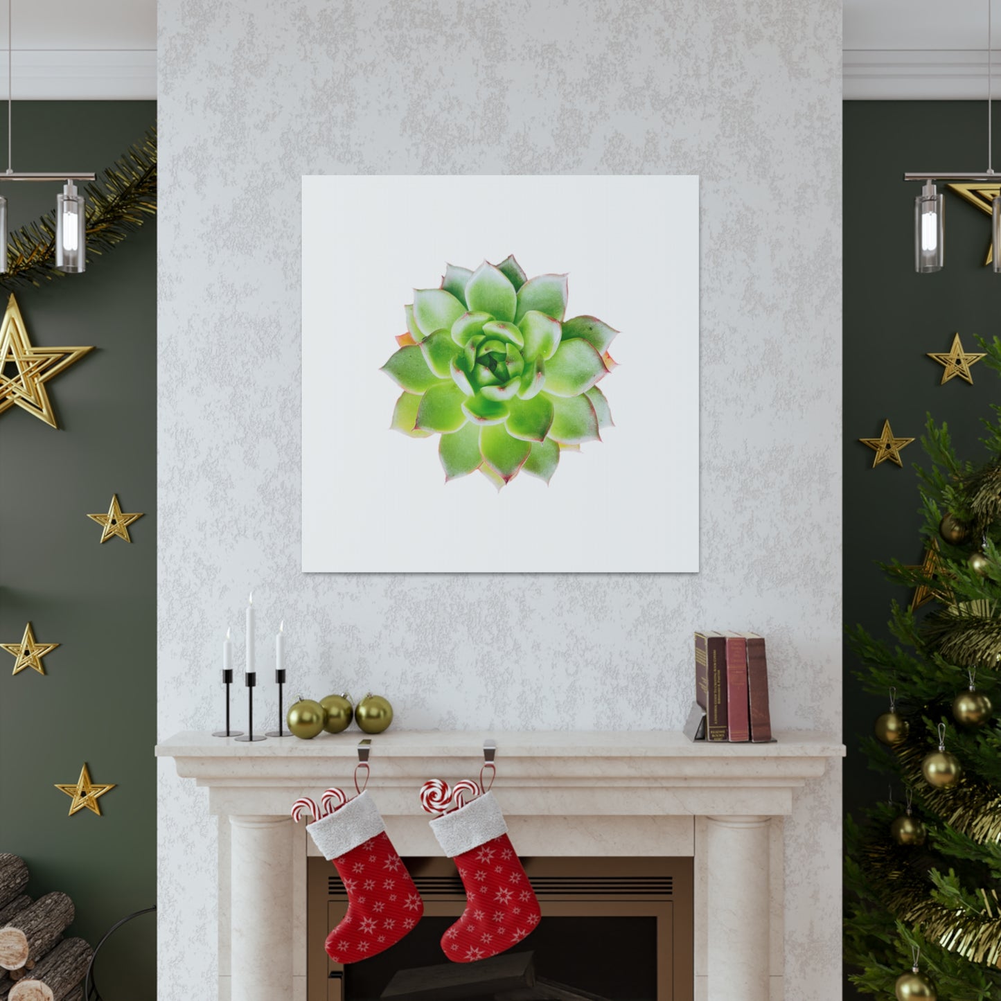 Echeveria Canvas Gallery Wraps