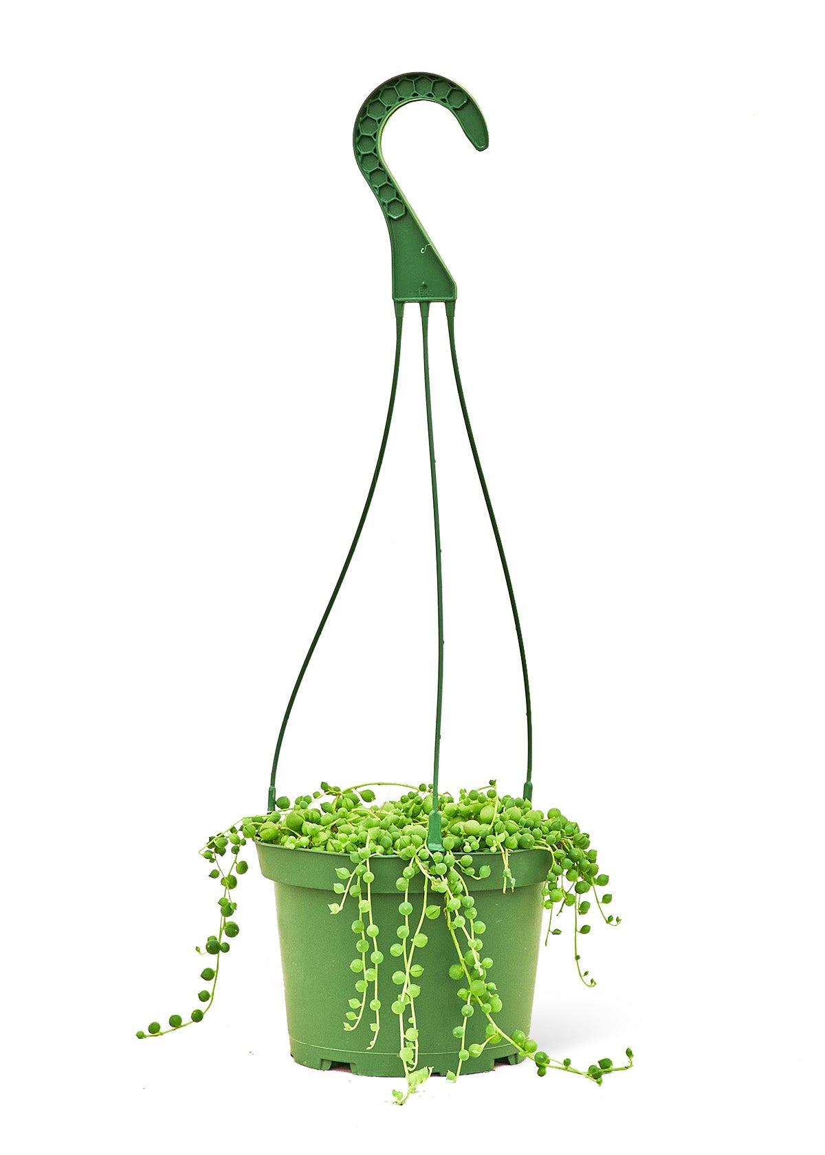 String of Pearls, Hanging