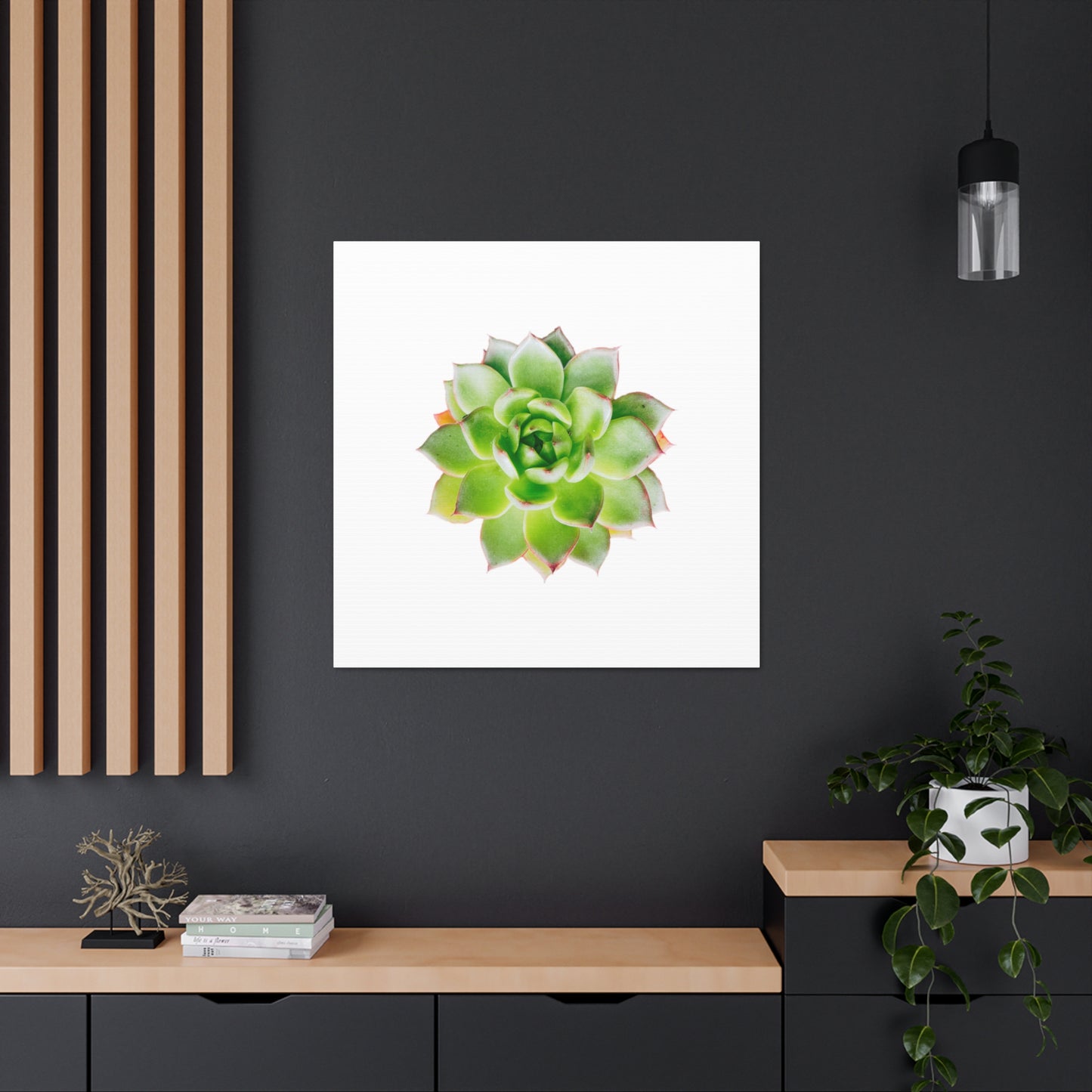 Echeveria Canvas Gallery Wraps