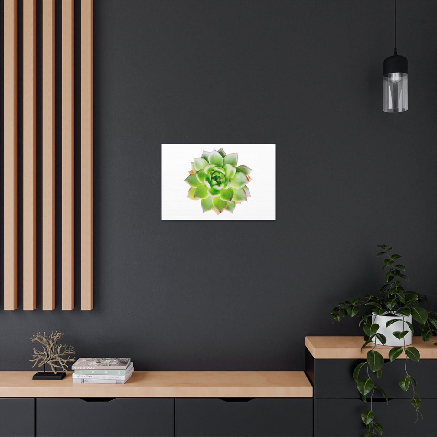 Echeveria Canvas Gallery Wraps