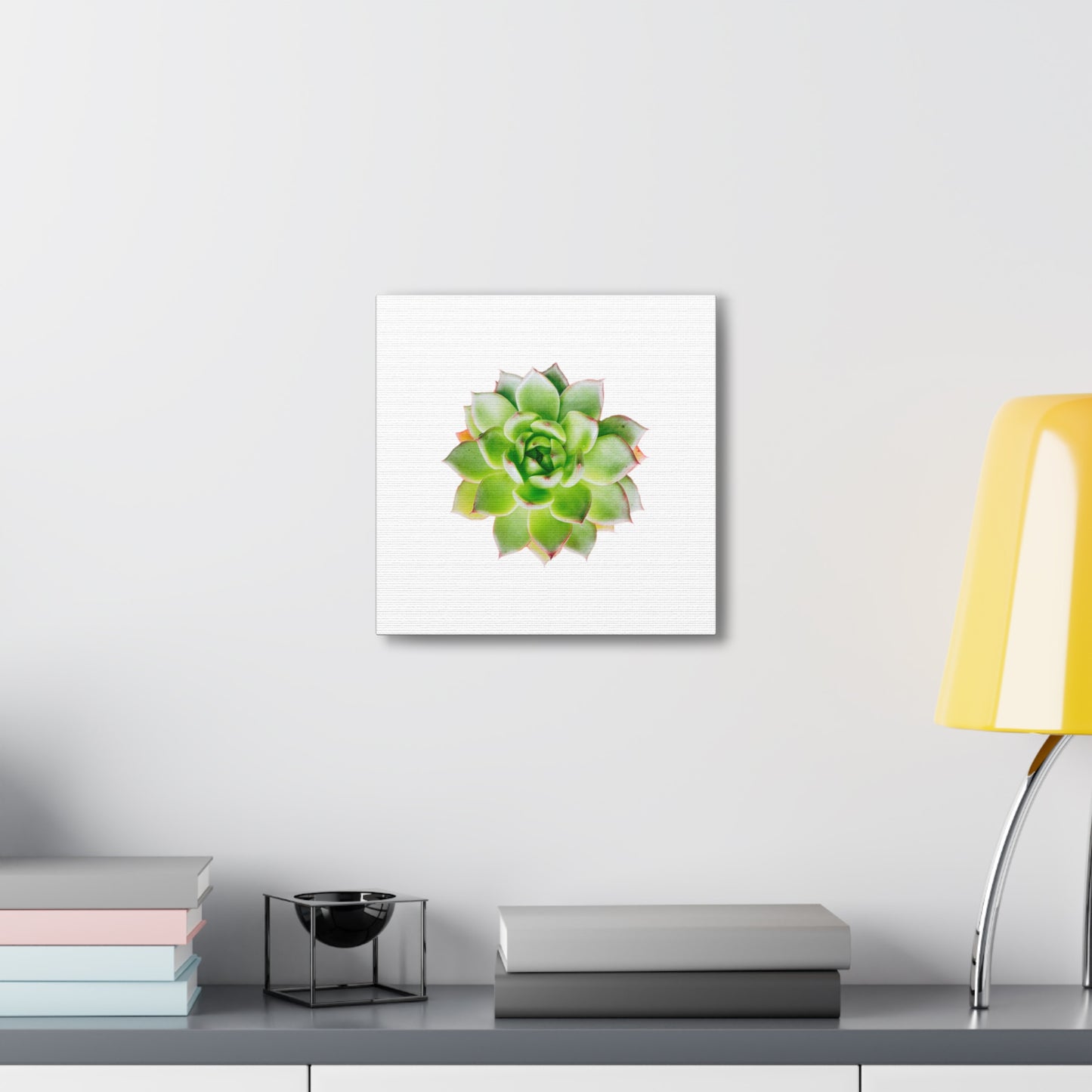 Echeveria Canvas Gallery Wraps