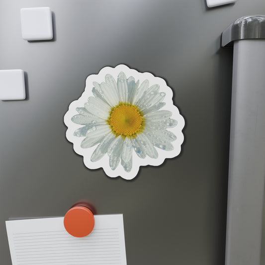 Daisy Magnets