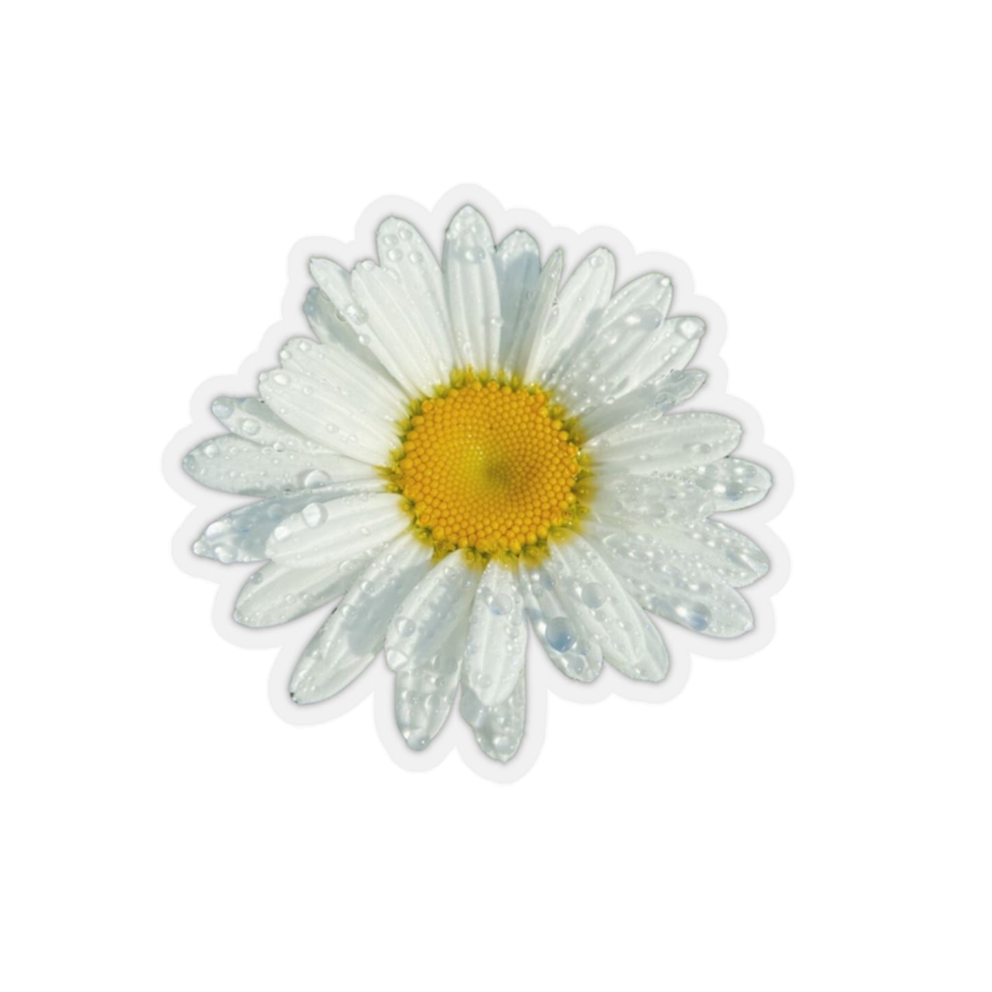 Daisy Stickers