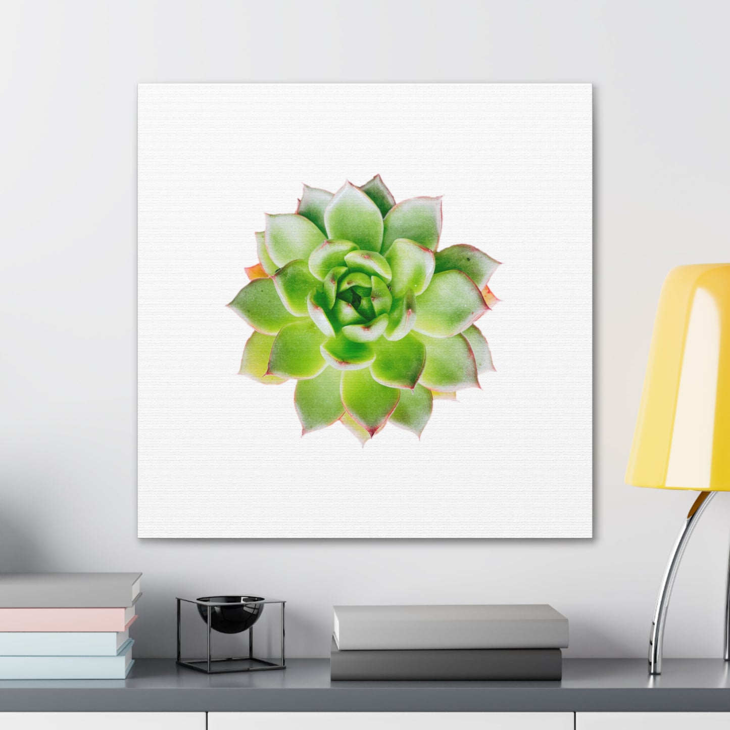 Echeveria Canvas Gallery Wraps