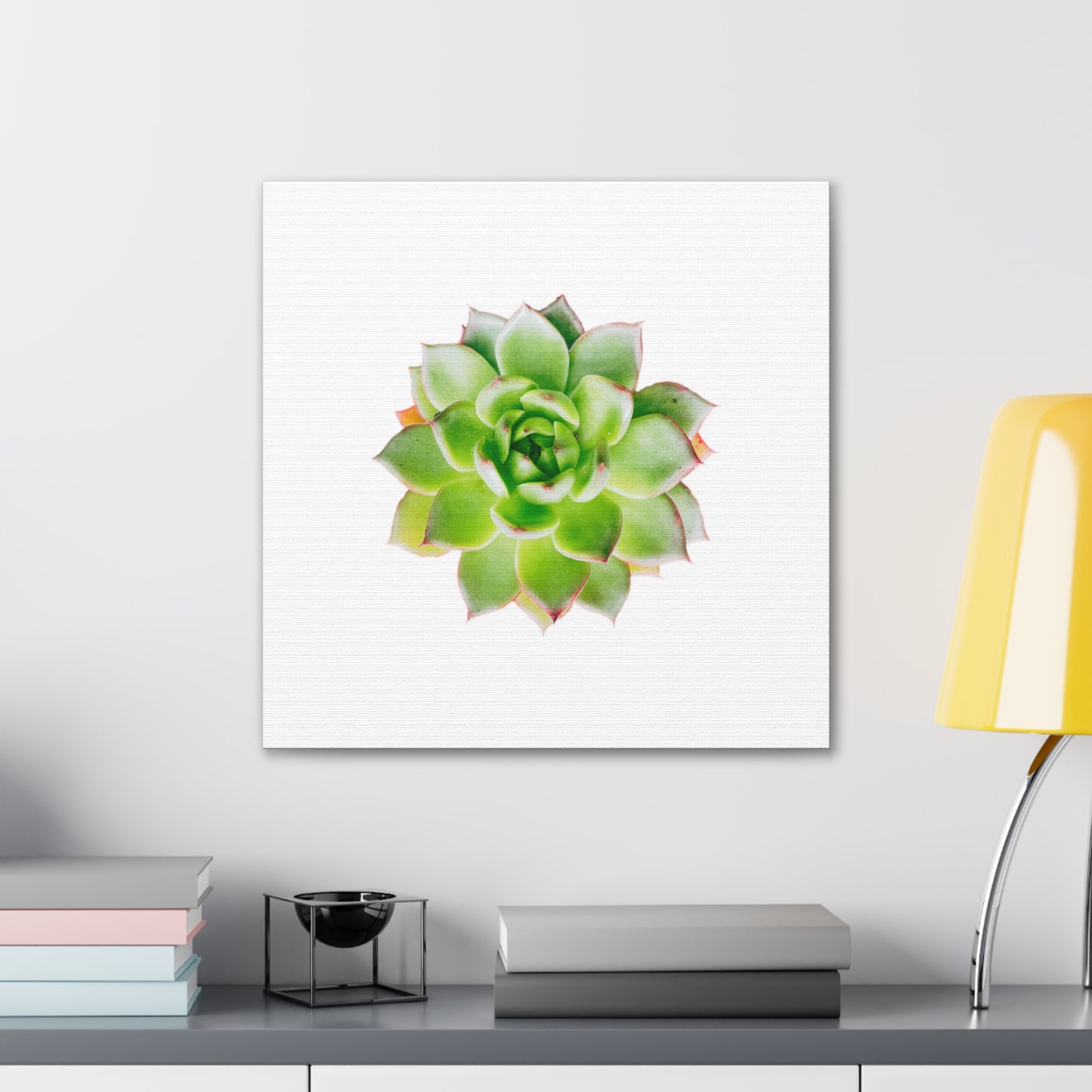 Echeveria Canvas Gallery Wraps